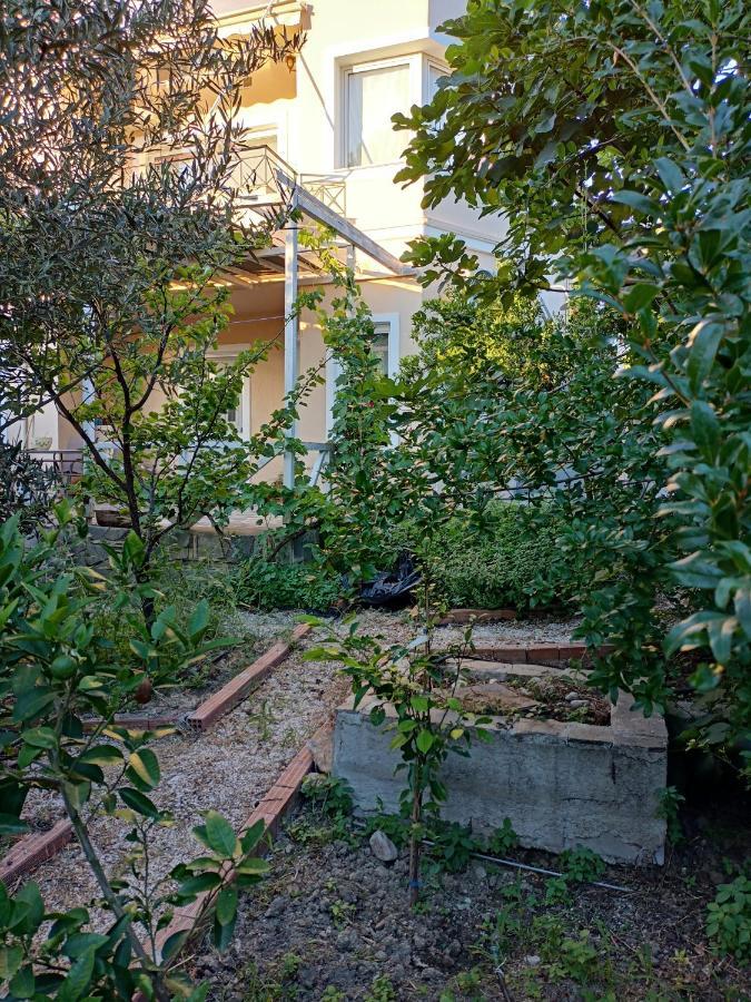 Filion Comfortable Country Apartment Levkákia Εξωτερικό φωτογραφία
