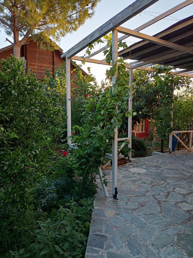 Filion Comfortable Country Apartment Levkákia Εξωτερικό φωτογραφία